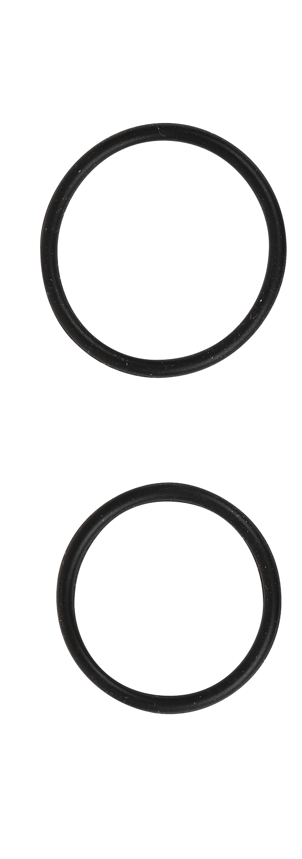 O-RINGS F20 R20